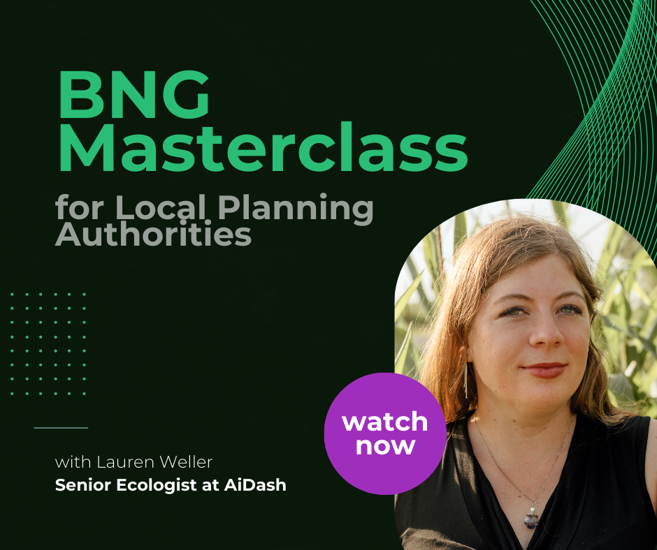 BNG Masterclass