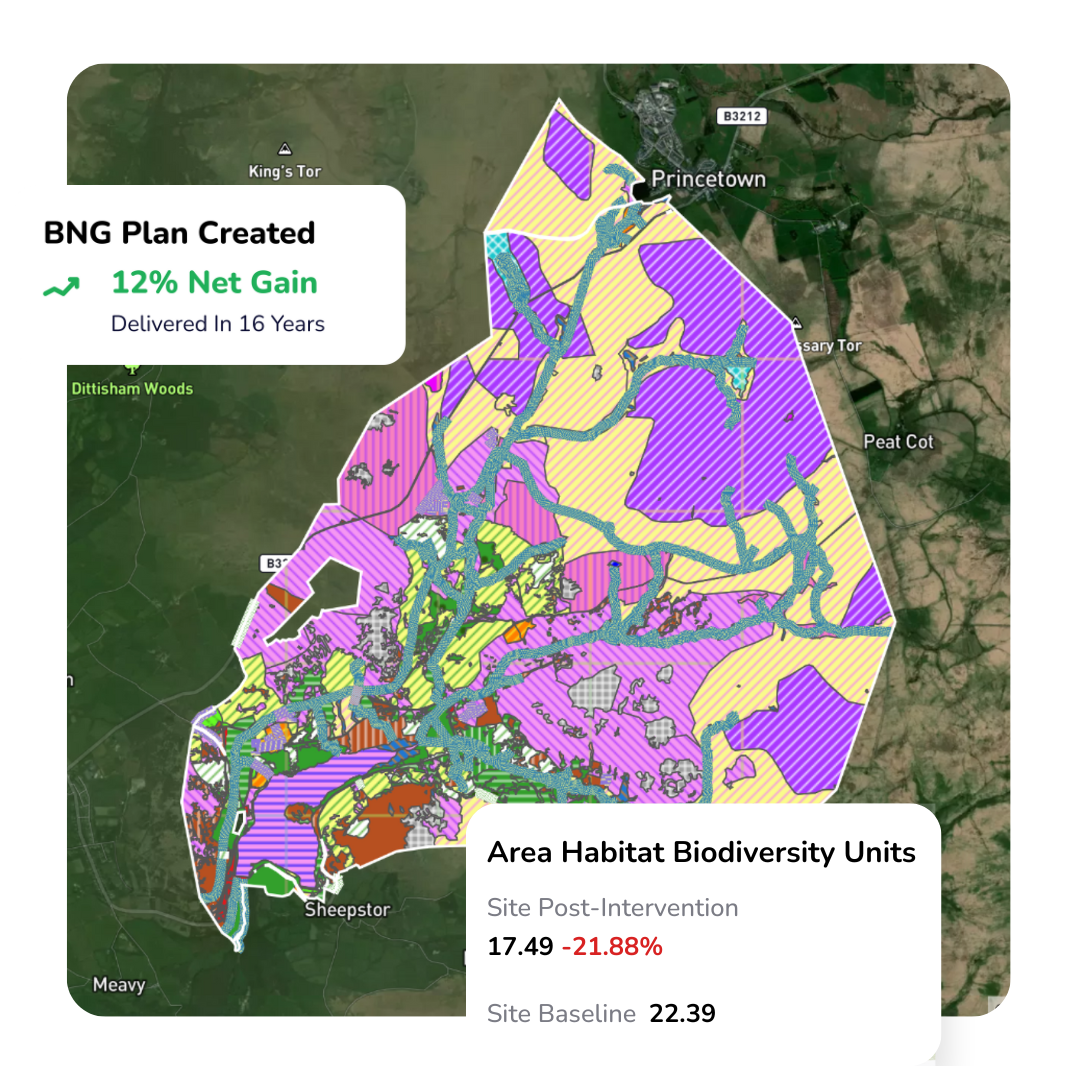 BNGAI™ platform map and features